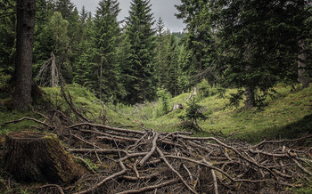 In den Alpen / ***