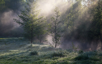 Nebel zerstreut / ***