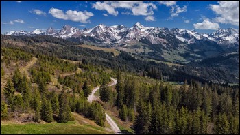 Bergfrühling / Mai