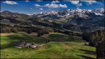 Frühling in den Alpen / Mai