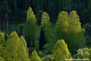 Mai-Abend / ***