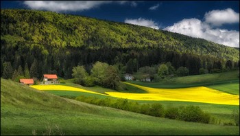 Raps / Jura