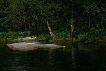 Islet ... / ***