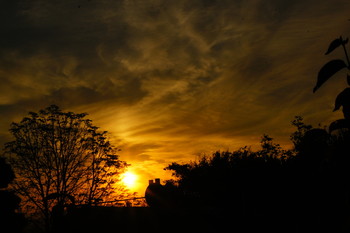 Morgendämmerung / ***