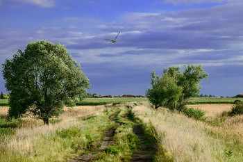 Weg / ***
