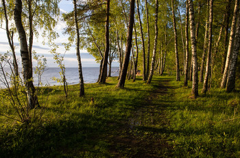 Der Wanderweg entlang des Meeres / ***