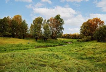 Herbstwiese / ***