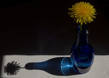  / ***