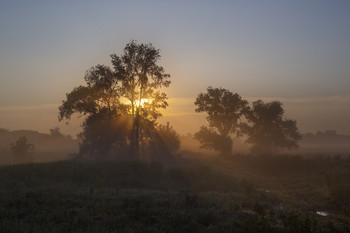 Morgendämmerung / ***