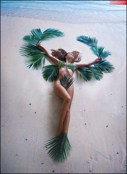 Palm Coast ⭒ / Dear friends!
I have a new site.
Welcome to view.
https://lucasphotostudio.com/