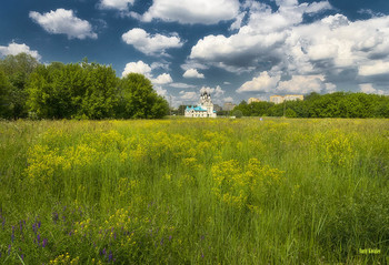 Russische Feld / ***