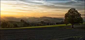 Abendsonne / ***