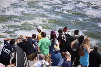   / Whale watching cruise.