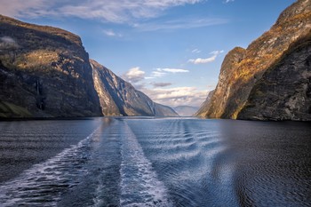 Fjorden Norwegens / ***