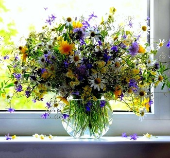 Wiesenblumen ... / ***