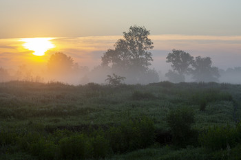 Nebel zerstreut / ***