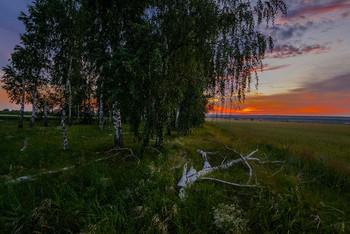 Sonnenuntergang / ***