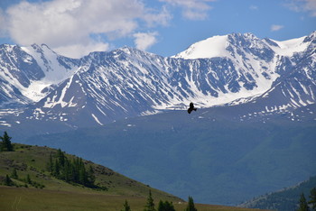 Gorny Altai. / ***