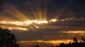 Morgendämmerung / ***