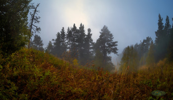 Der Geruch des Herbstes / ***