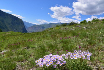Gorny Altai. / ***