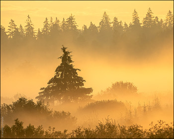  / Sunrise and fog
