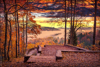  / Autumn Sunrise