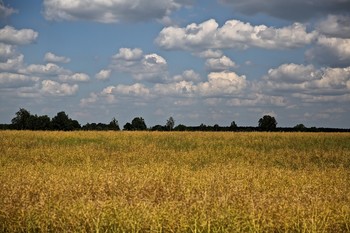 Am Stadtrand / ***