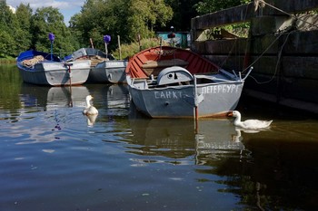Der Kanal / ***