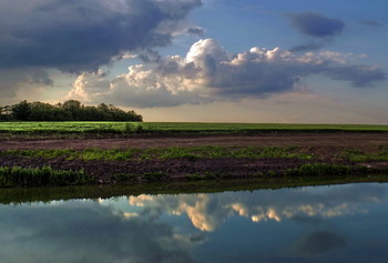 Spiegelung / ***