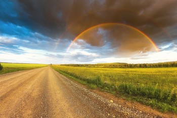 Regenbogen / ***