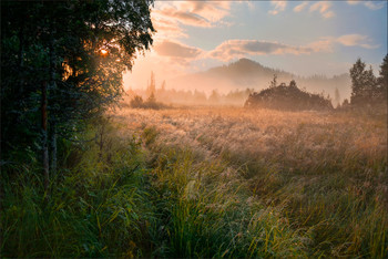 Eines Morgens / ***
