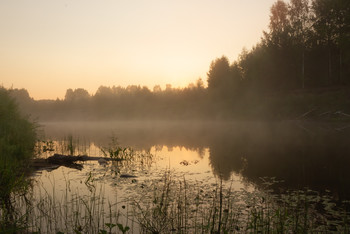 Morgennebel / ***