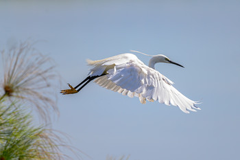 Im Flug / ***