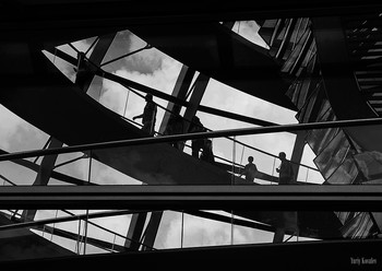 Silhouettes / ***