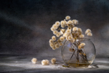 Sommer ... / ***