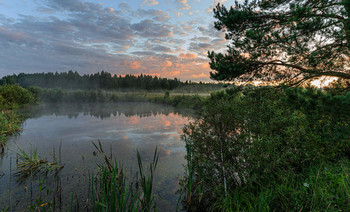 Auf dem Teich / ***