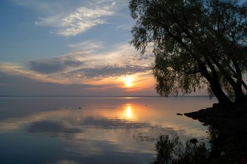 Morgendliche Stille / ***