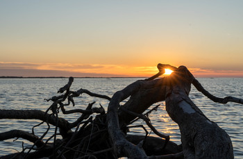 lake wood / sunset time