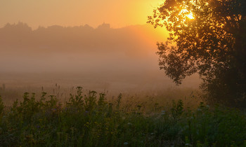 Morgendämmerung / ...