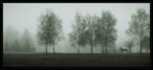 Morning / ***