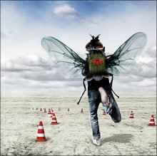 Masha chelomuh, stronger! .. enough to run in circles! .. / ***