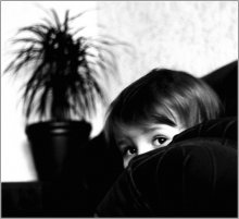 fears ... / ***