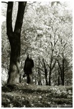 Autumn. Penetrating gaze. / ***