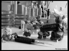 Laboratory animals. Part Two. / ***