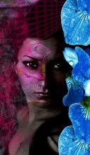 Flower fairy / ***