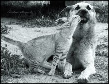 Like this, now, mad love. :) / ***