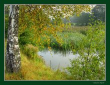 Old pond / ***