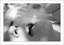 plumule / ***
