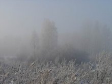 Fog, frost, sun / ***